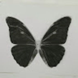 Meet your Posher, Karla.3sp